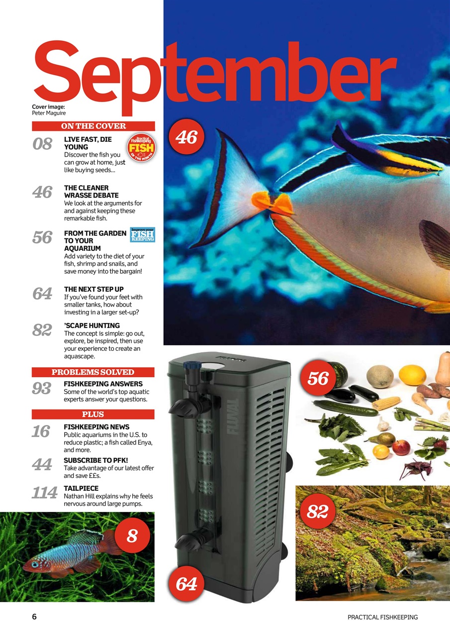Practical Fishkeeping Preview Pages