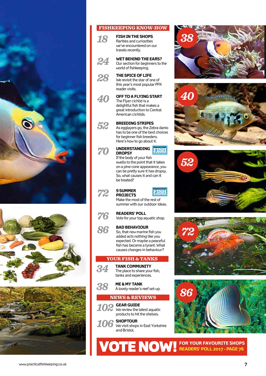 Practical Fishkeeping Preview Pages