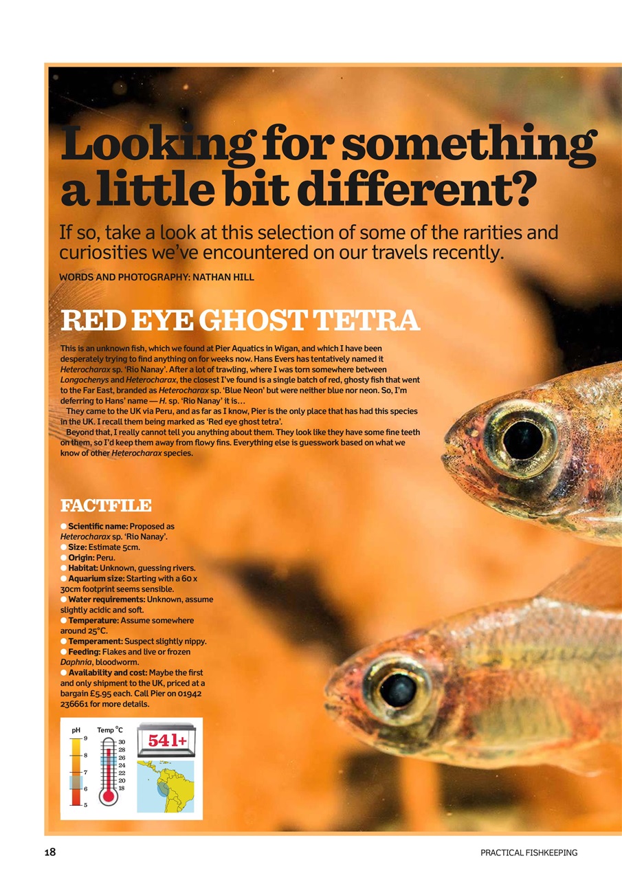 Practical Fishkeeping Preview Pages