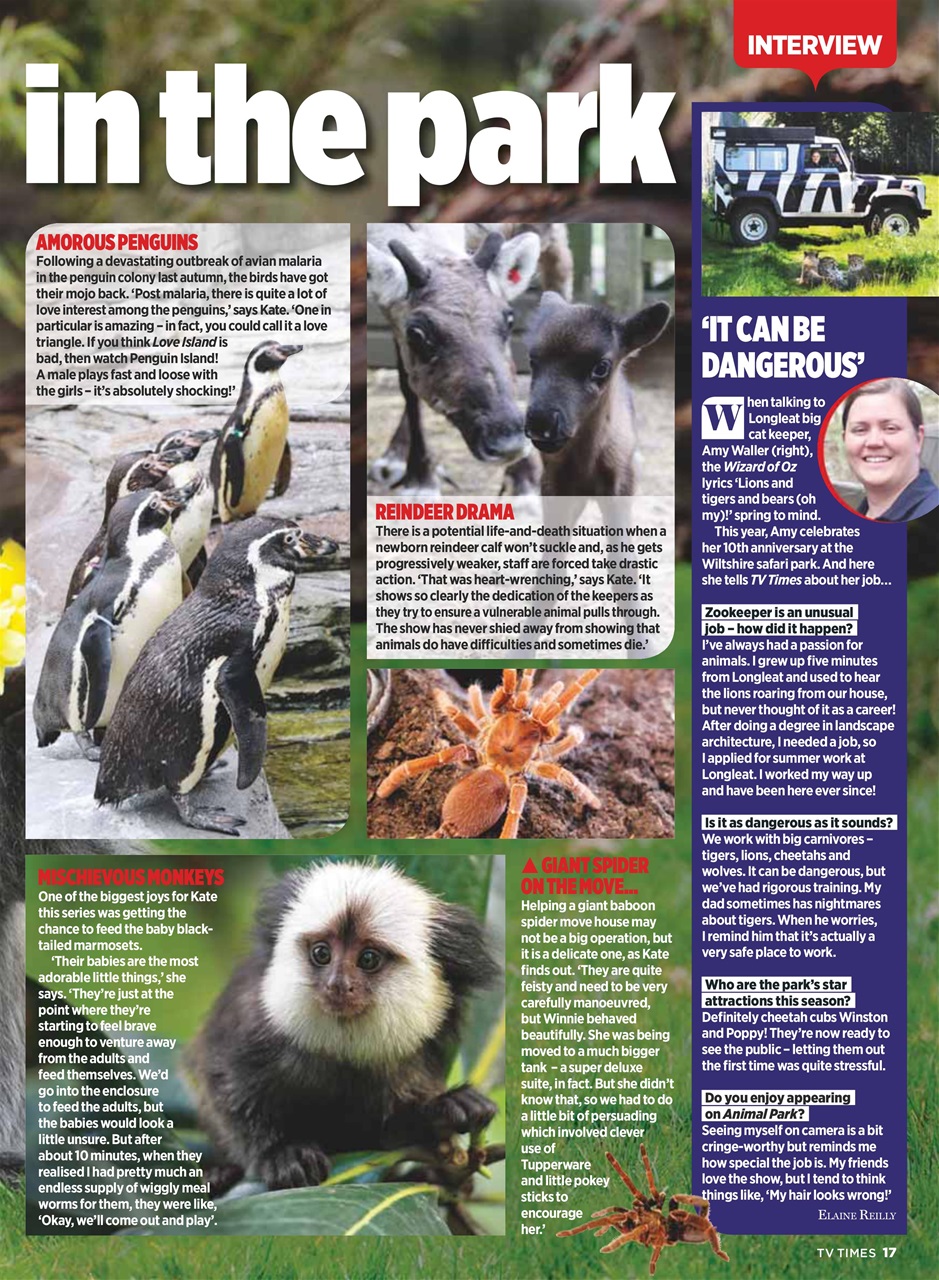 TV Times Preview Pages