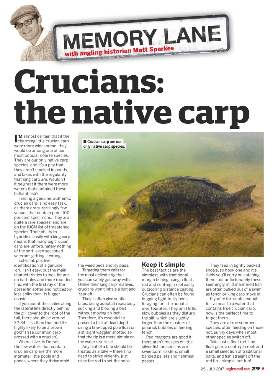 Anglers Mail Preview Pages