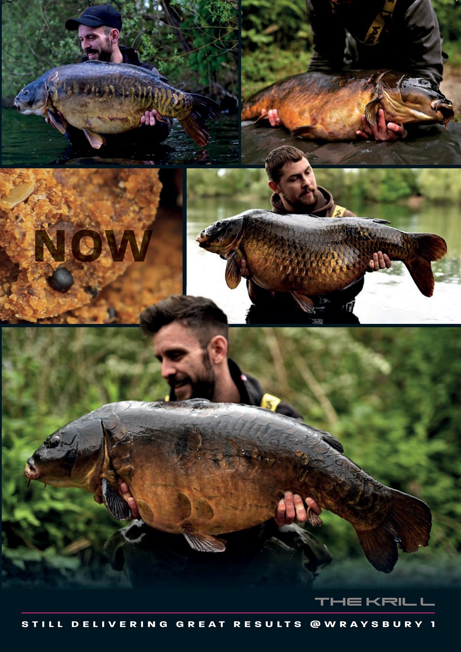 Carpworld Preview Pages