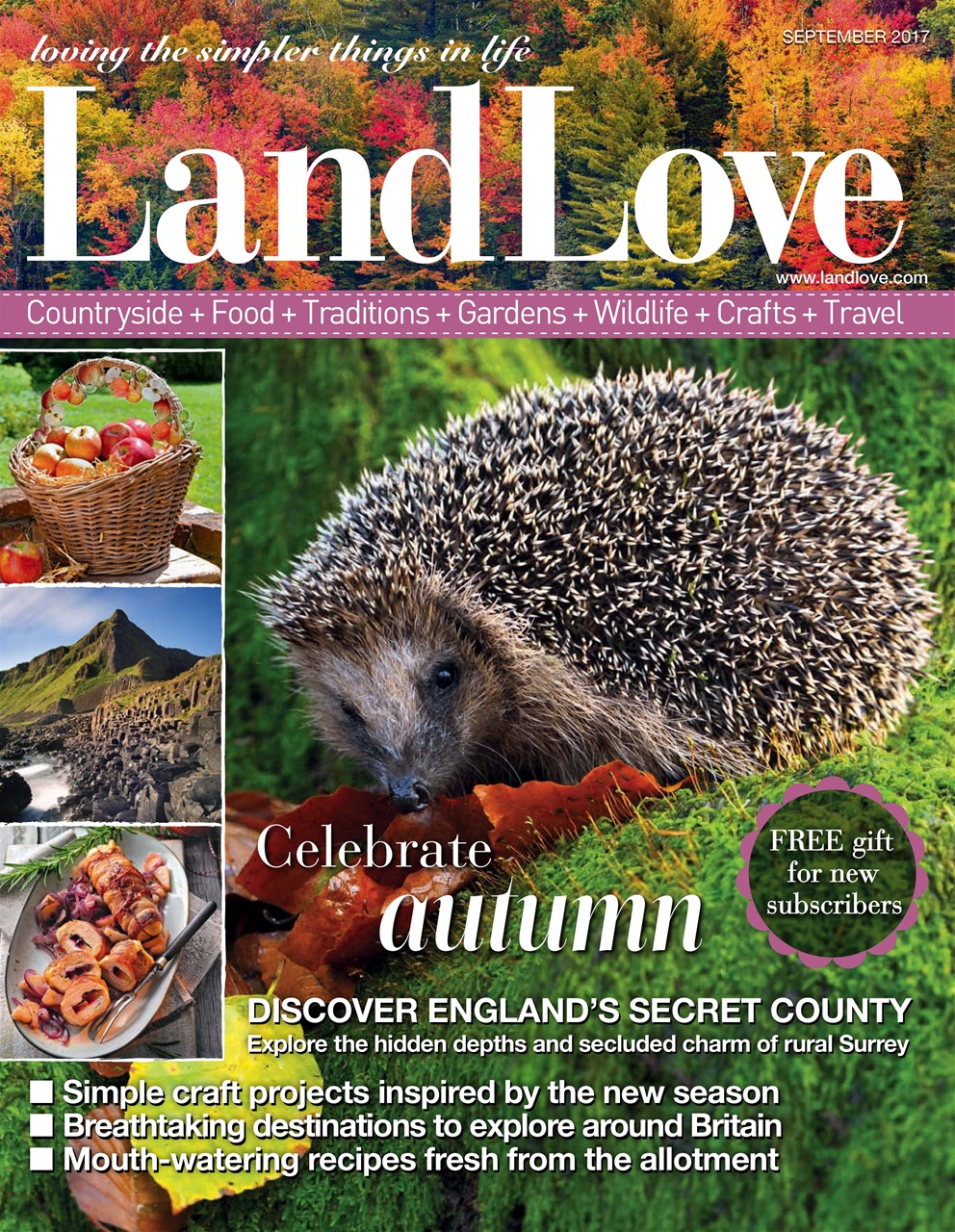 LandLove Magazine Preview Pages