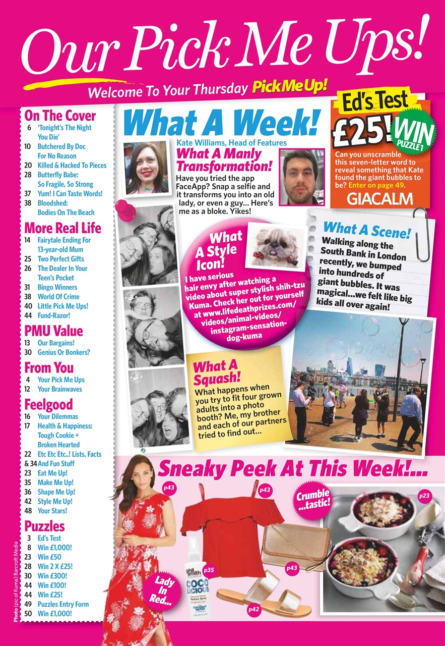 Pick Me Up Preview Pages