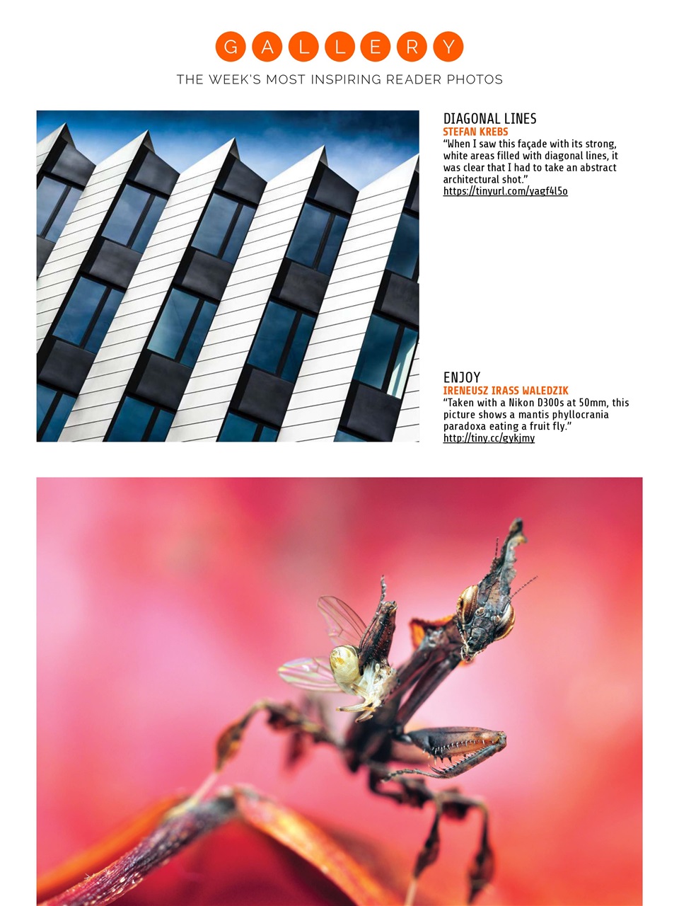 Photography Week Preview Pages