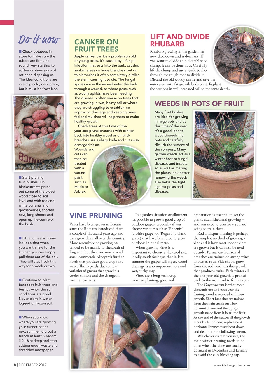 Kitchen Garden Magazine Preview Pages