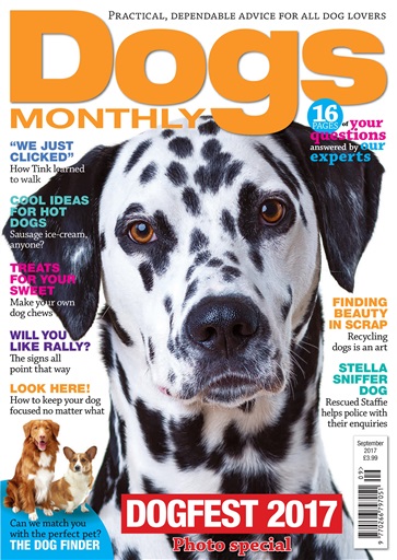 Dogs Monthly issue 