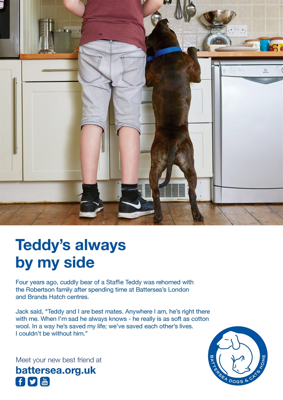 Dogs Monthly Preview Pages