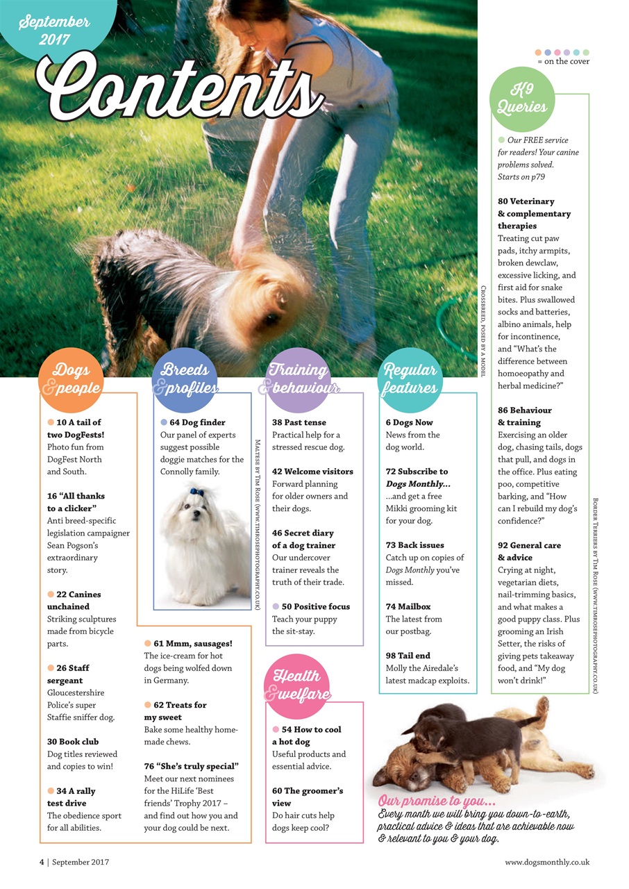 Dogs Monthly Preview Pages
