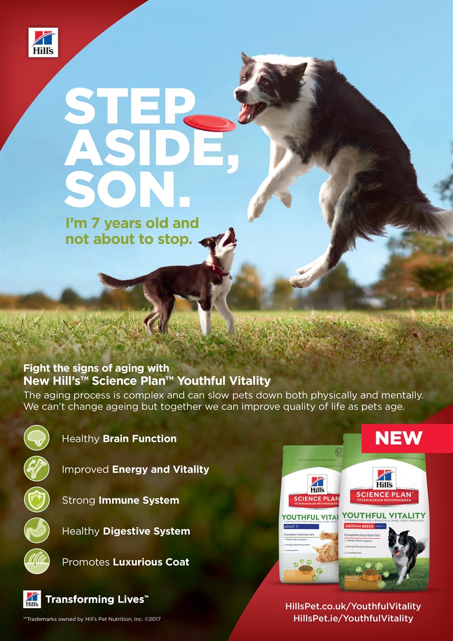 Dogs Monthly Preview Pages