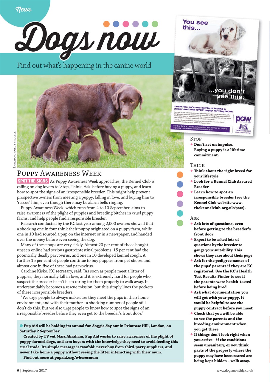 Dogs Monthly Preview Pages