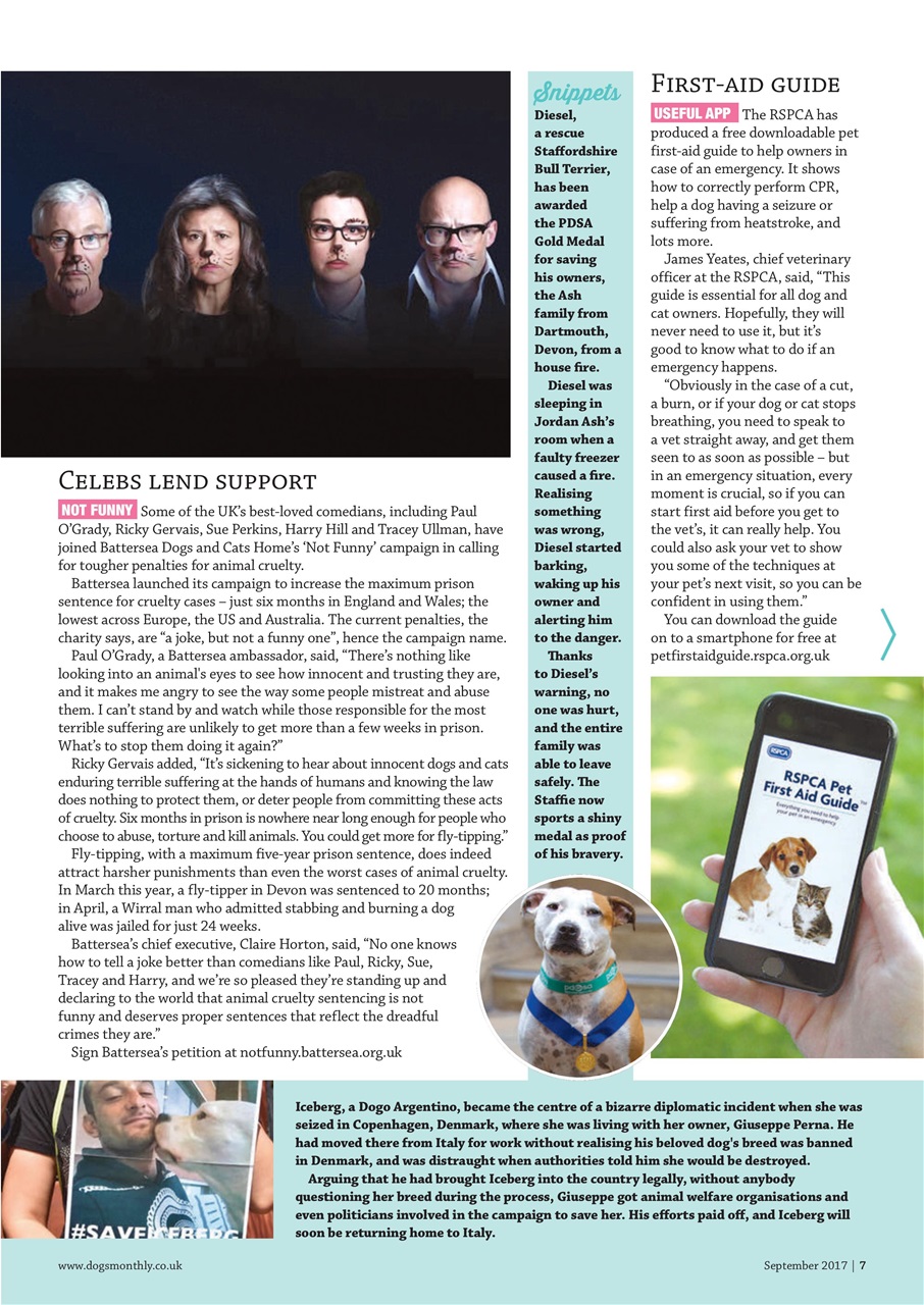 Dogs Monthly Preview Pages