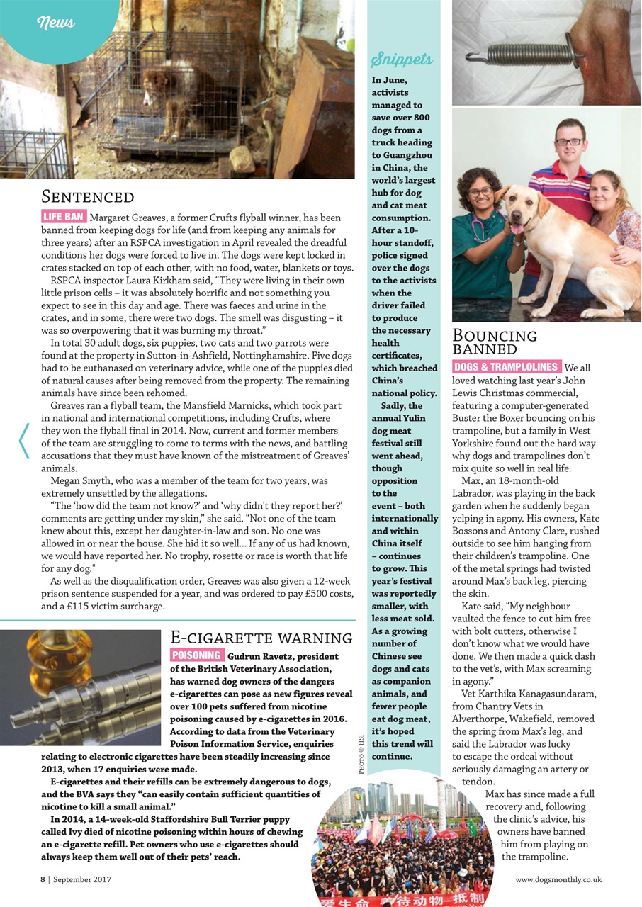 Dogs Monthly Preview Pages