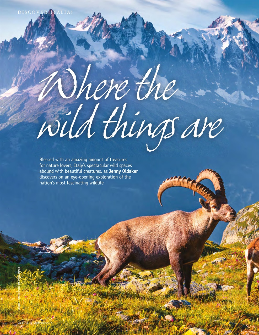 Italia! Preview Pages