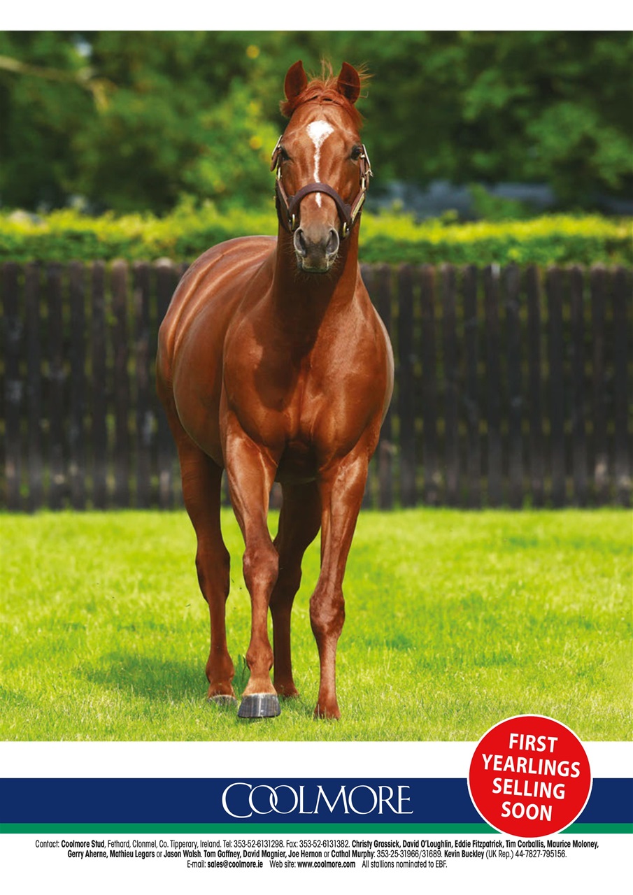 The Owner Breeder Preview Pages