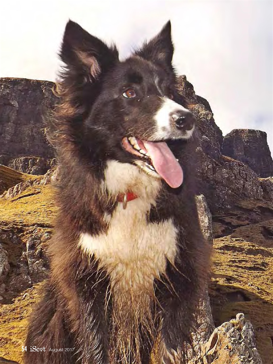 iScot Magazine Preview Pages