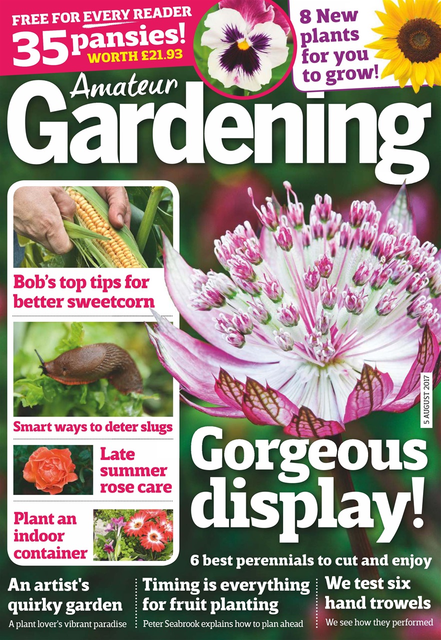 Amateur Gardening Preview Pages