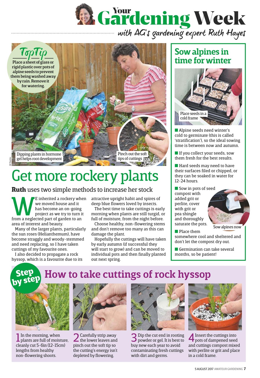 Amateur Gardening Preview Pages
