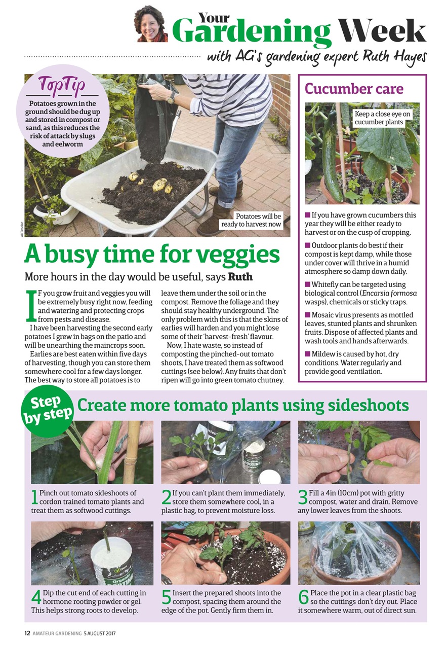 Amateur Gardening Preview Pages