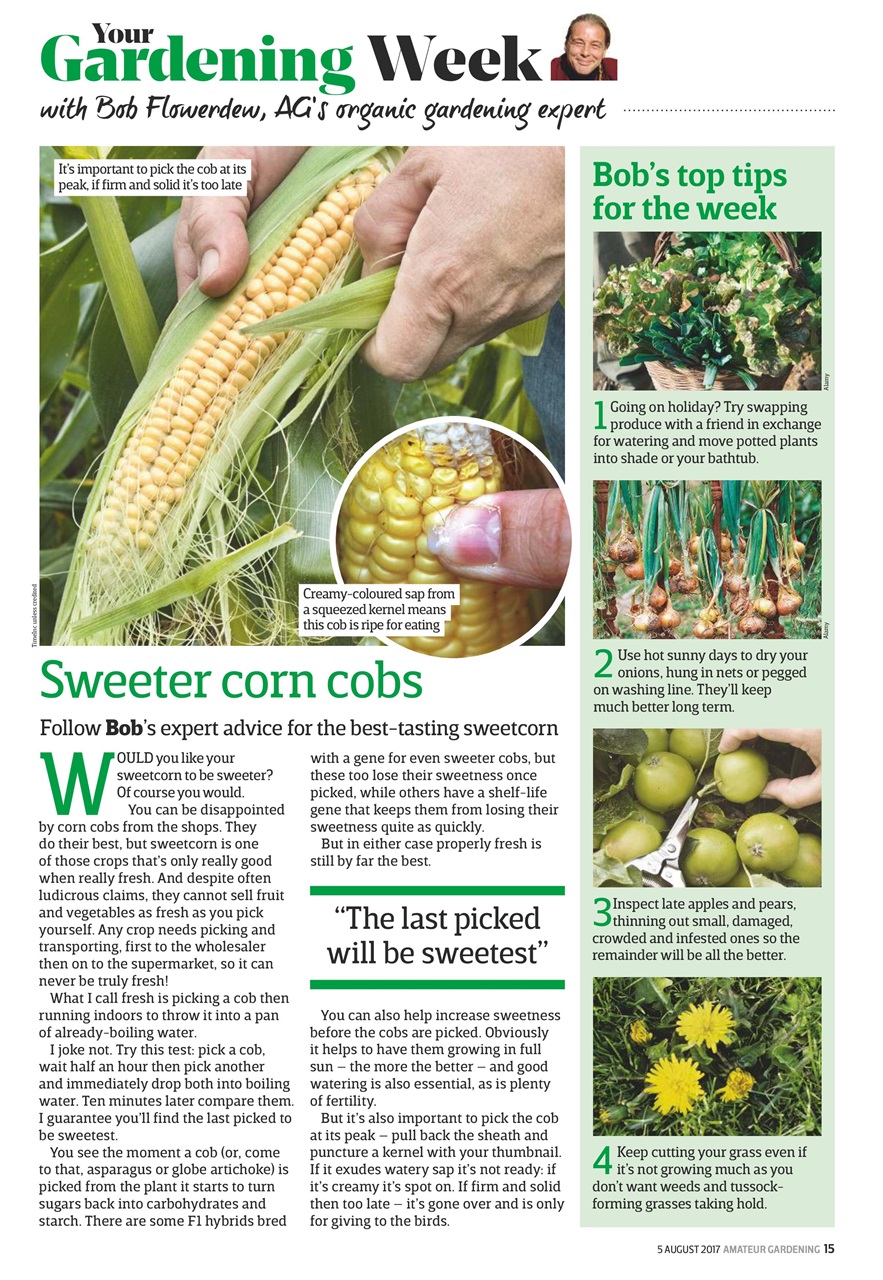 Amateur Gardening Preview Pages