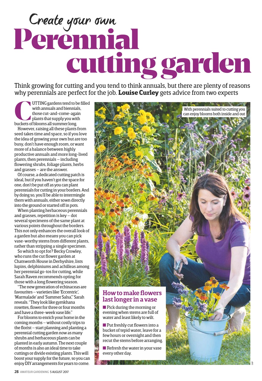 Amateur Gardening Preview Pages