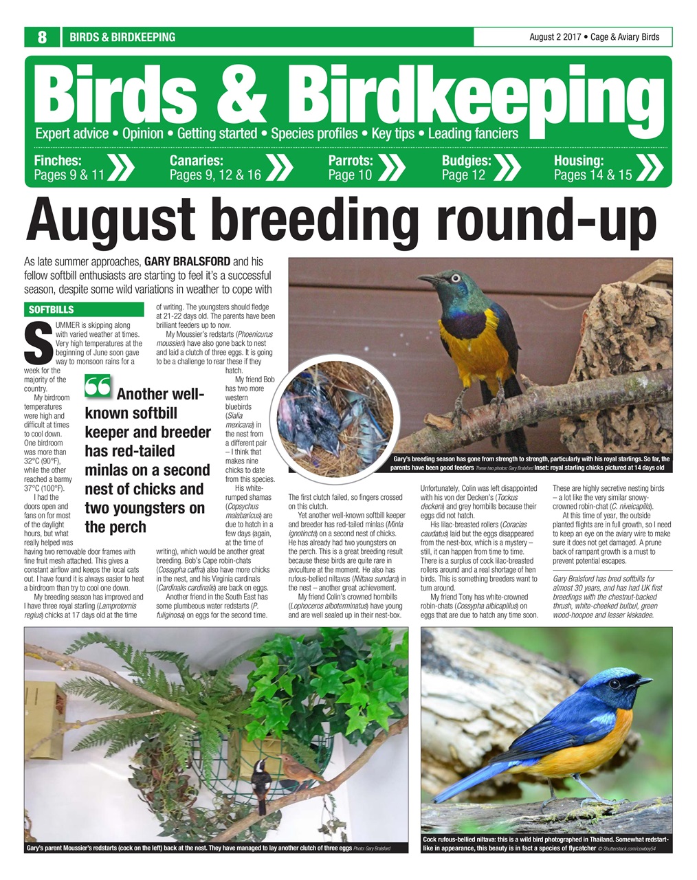 Cage & Aviary Birds Preview Pages