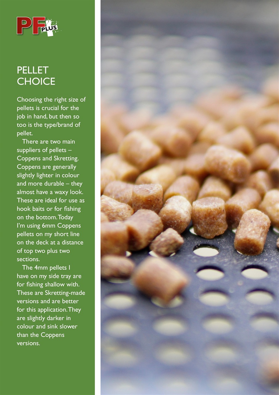 Pole Fishing Plus Preview Pages