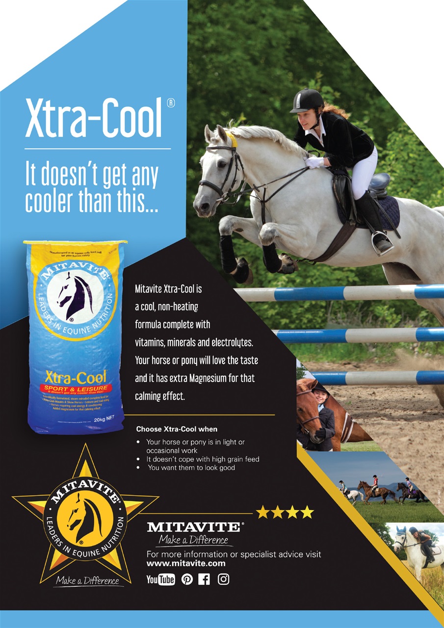 HorseWyse Magazine Preview Pages