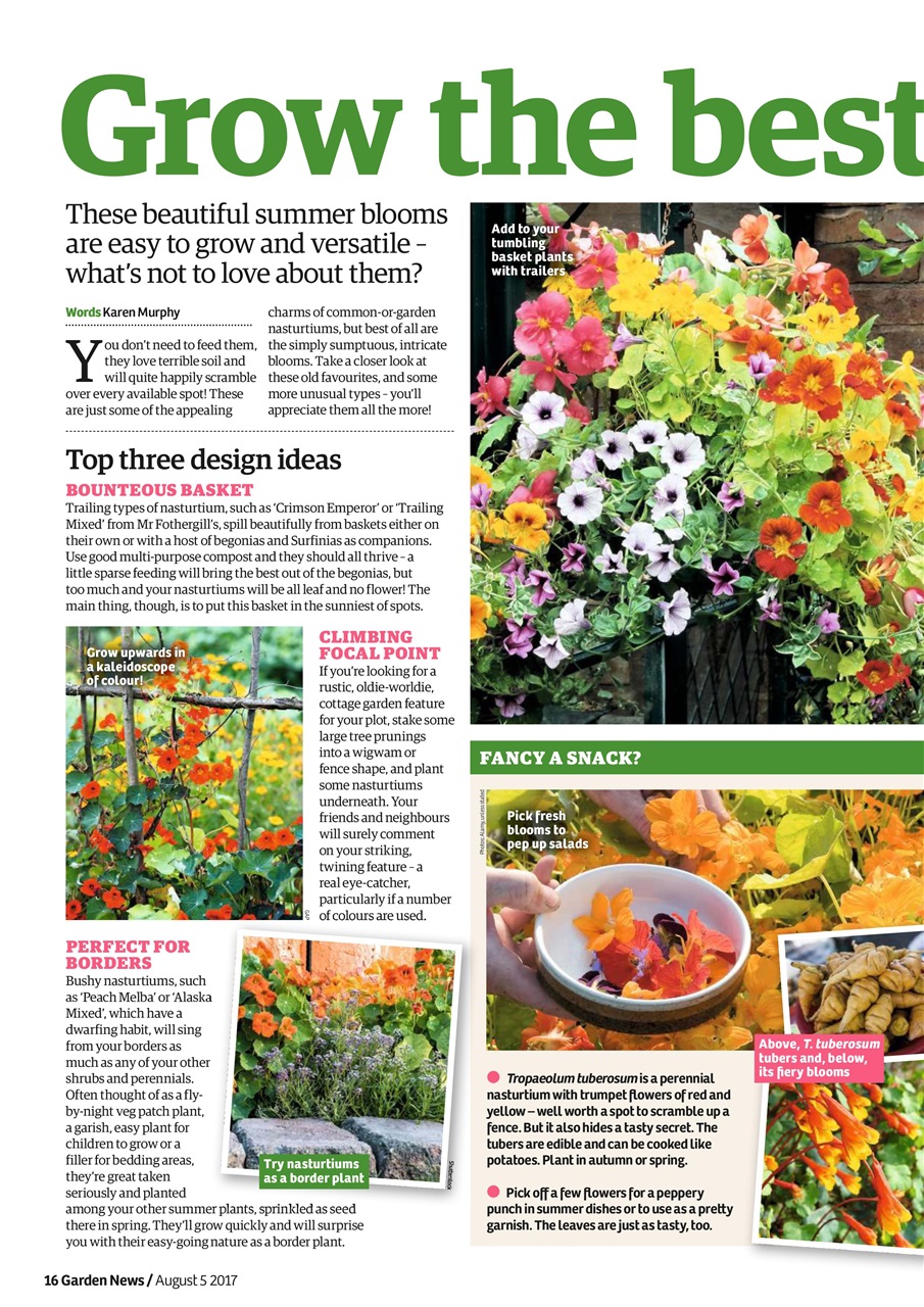 Garden News Preview Pages