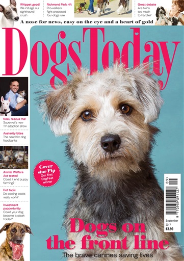 Dogs Today Magazine issue 