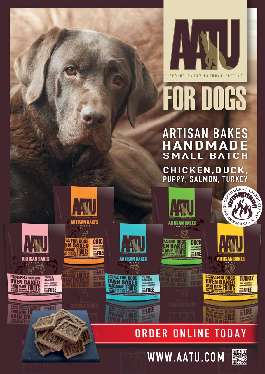 Dogs Today Magazine Preview Pages