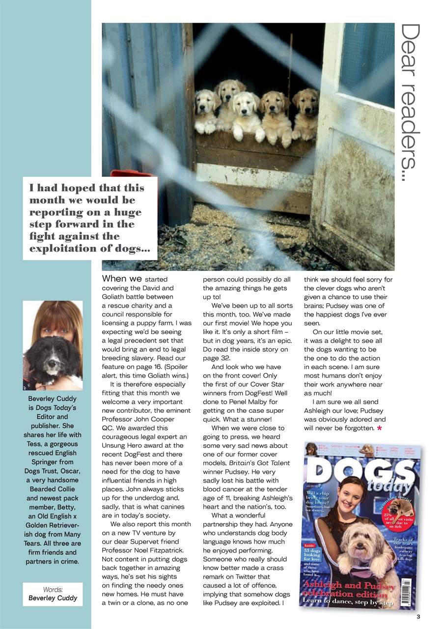 Dogs Today Magazine Preview Pages