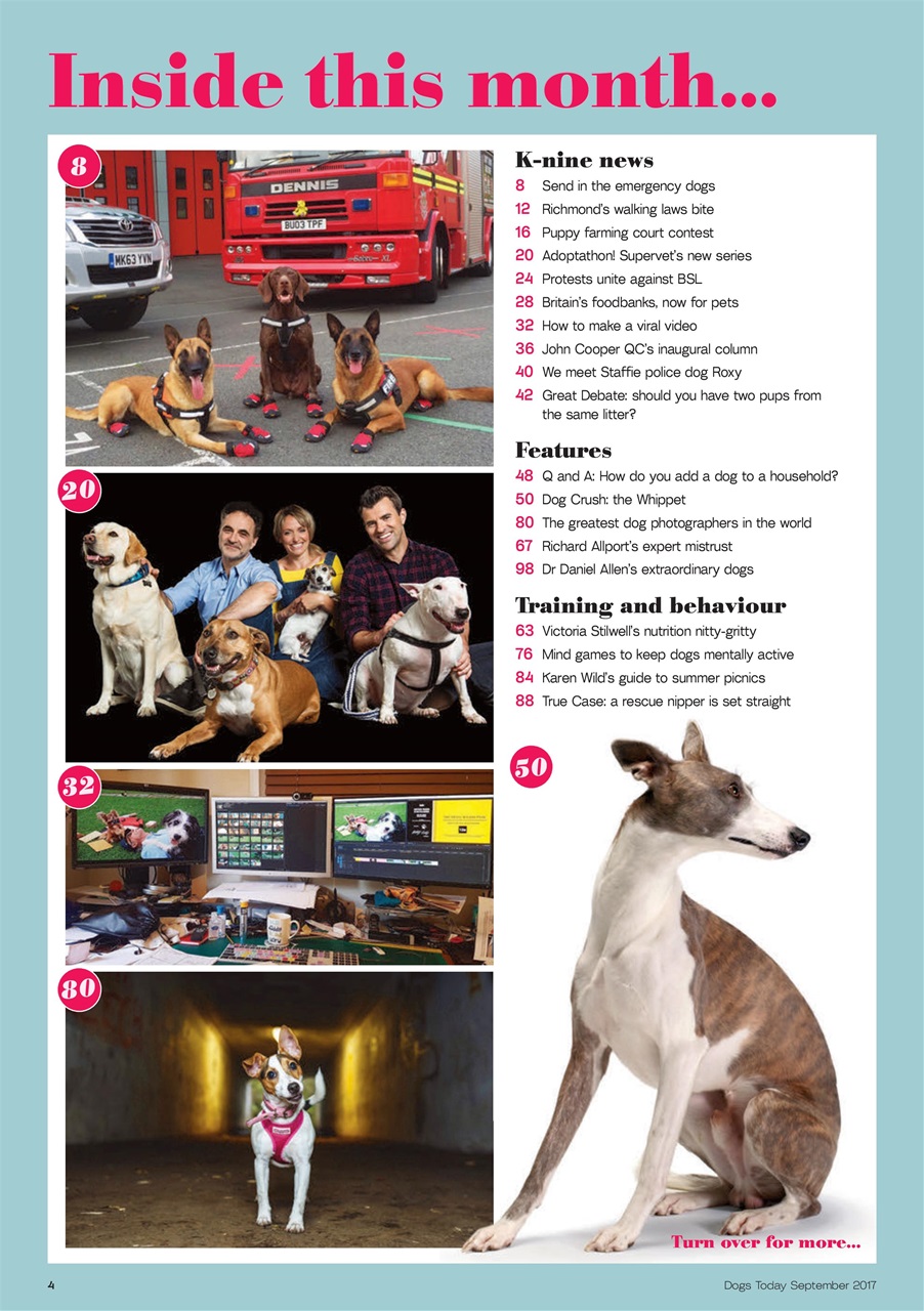 Dogs Today Magazine Preview Pages