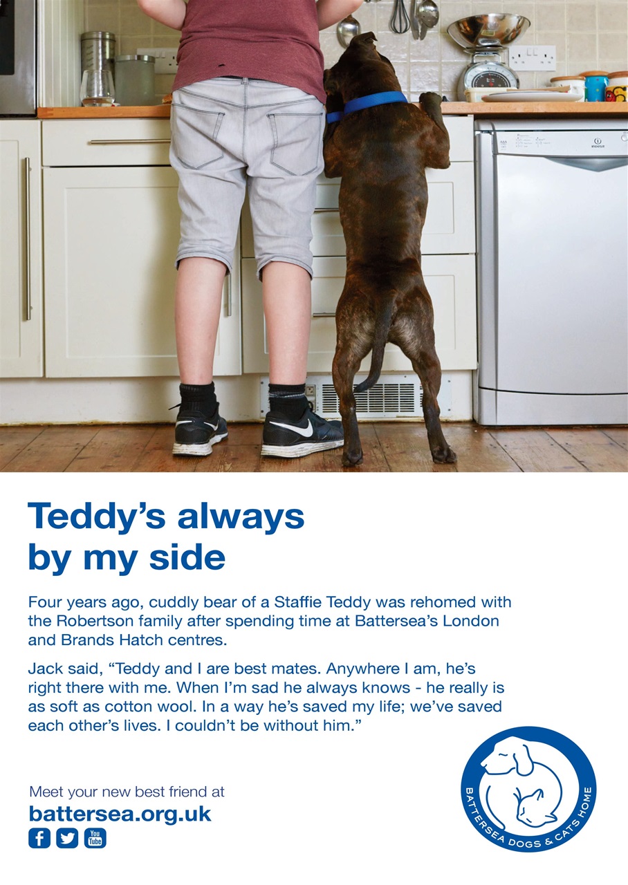 Dogs Today Magazine Preview Pages
