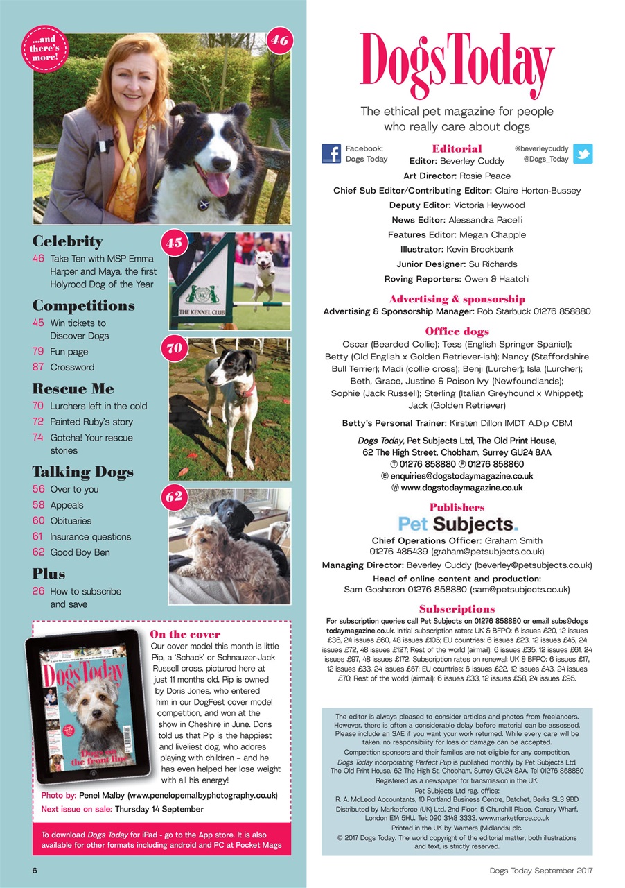 Dogs Today Magazine Preview Pages