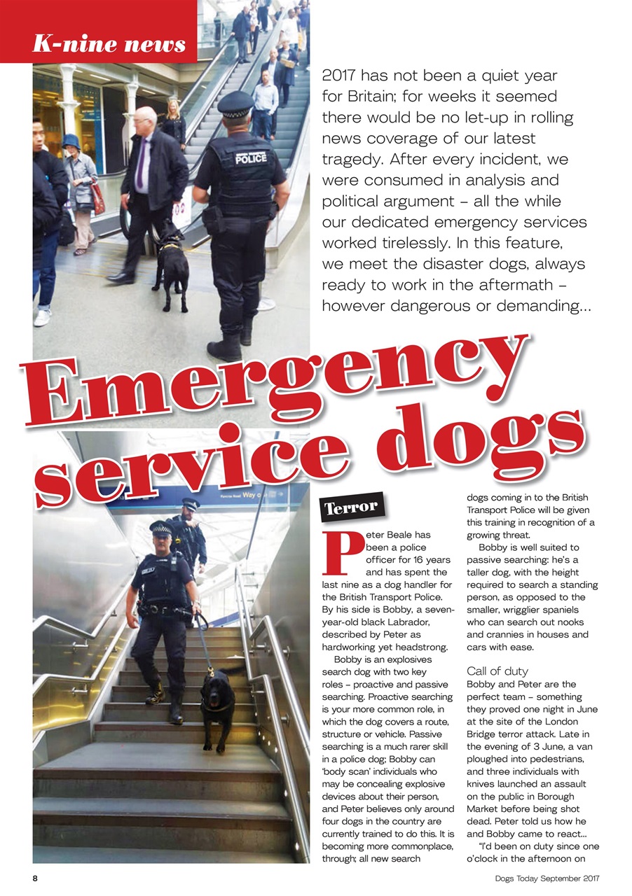 Dogs Today Magazine Preview Pages