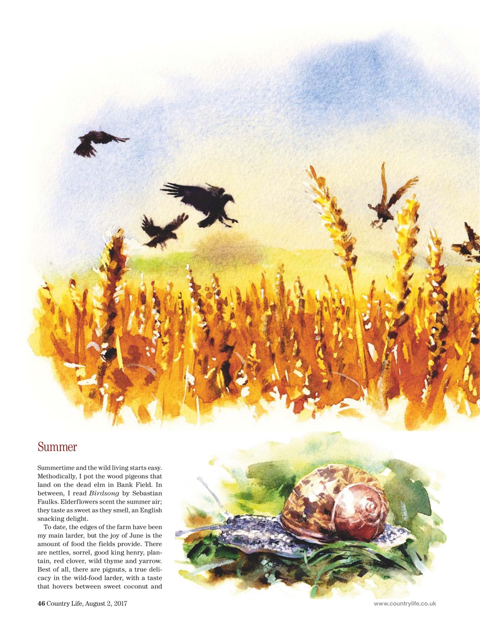 Country Life Preview Pages