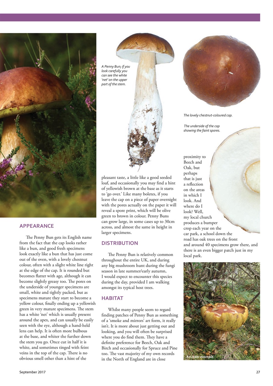 Home Farmer Magazine Preview Pages