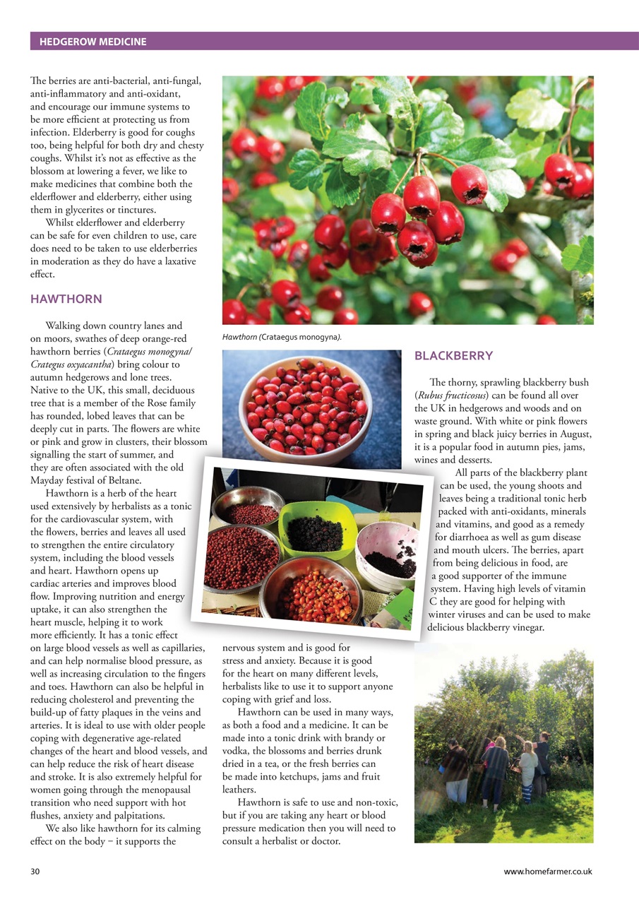 Home Farmer Magazine Preview Pages