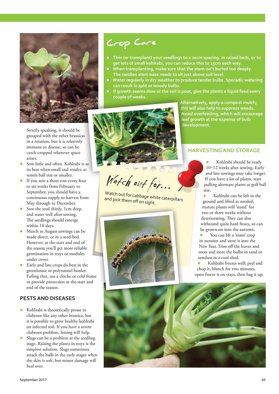 Home Farmer Magazine Preview Pages