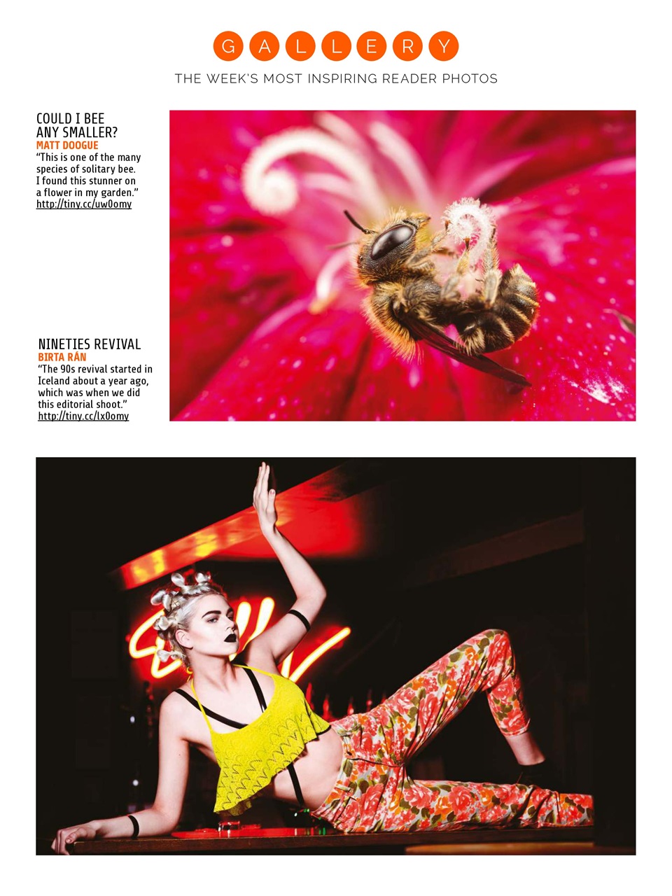Photography Week Preview Pages