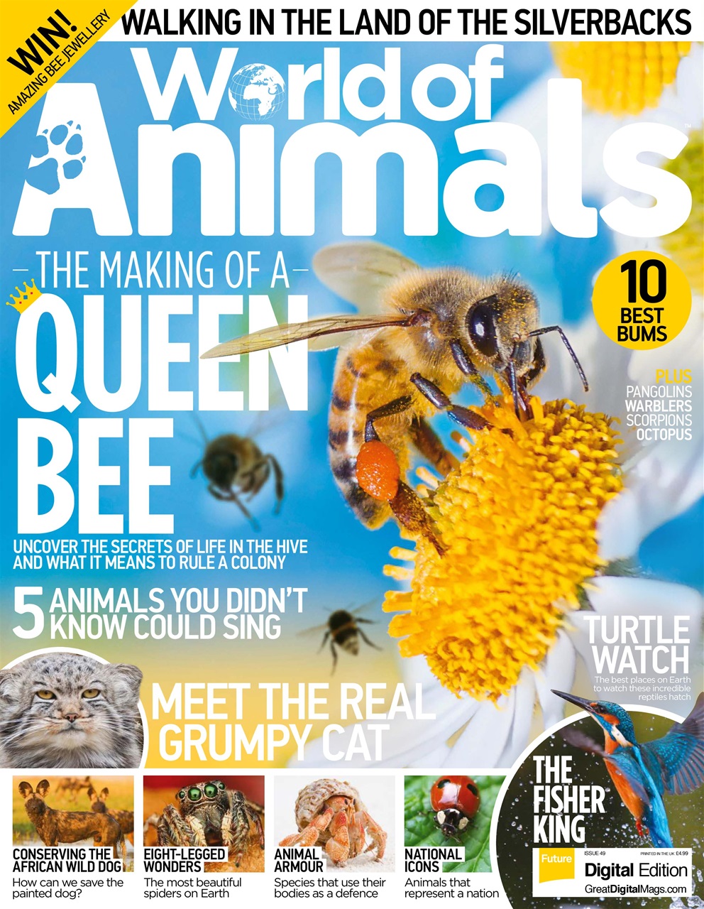 World of Animals Preview Pages