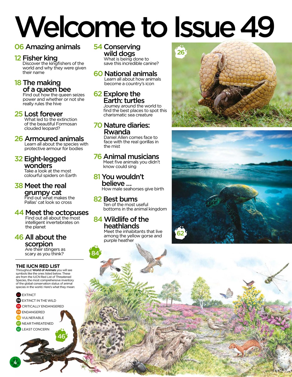 World of Animals Preview Pages