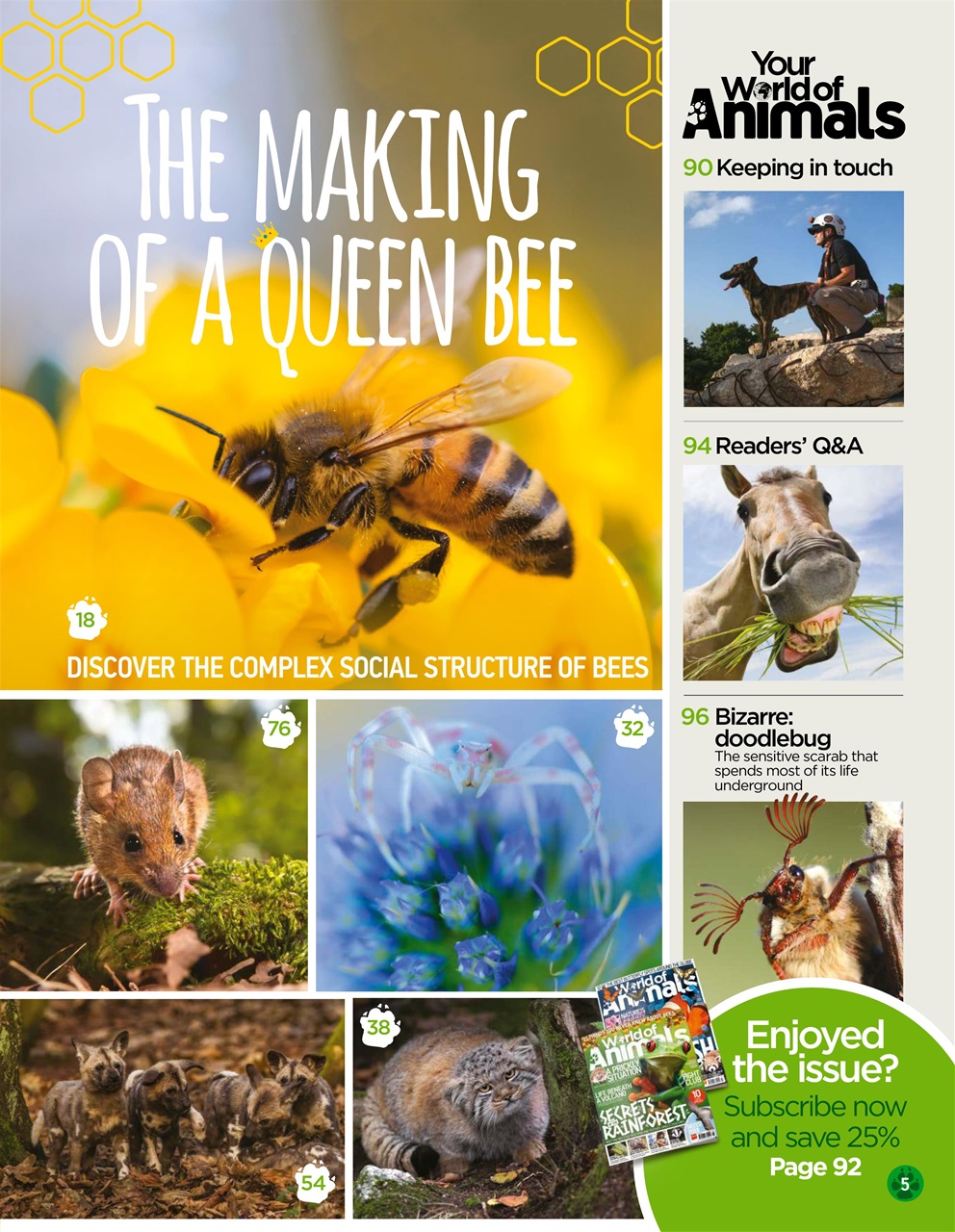 World of Animals Preview Pages