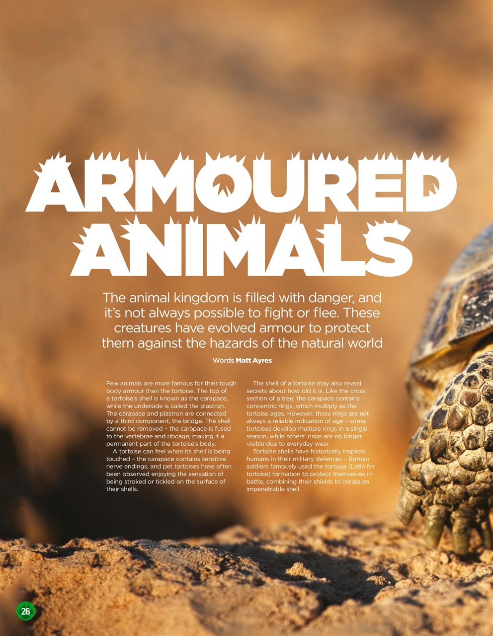 World of Animals Preview Pages
