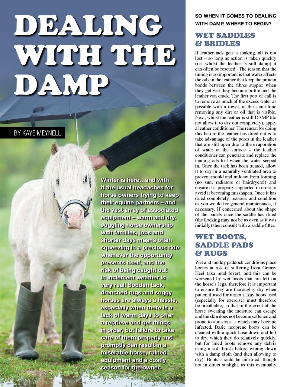 Hoofbeats Preview Pages