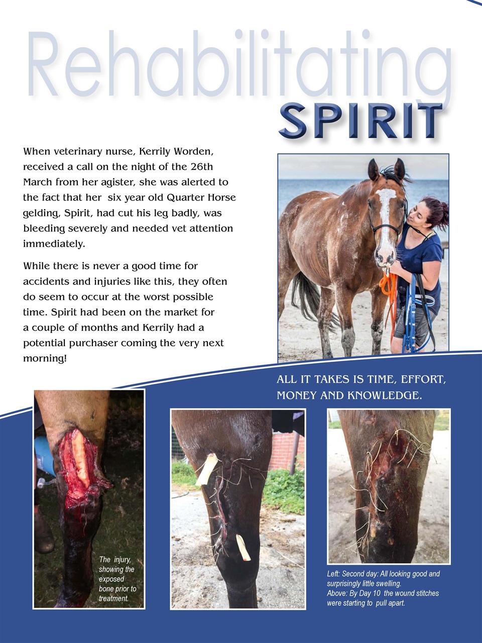 Hoofbeats Preview Pages