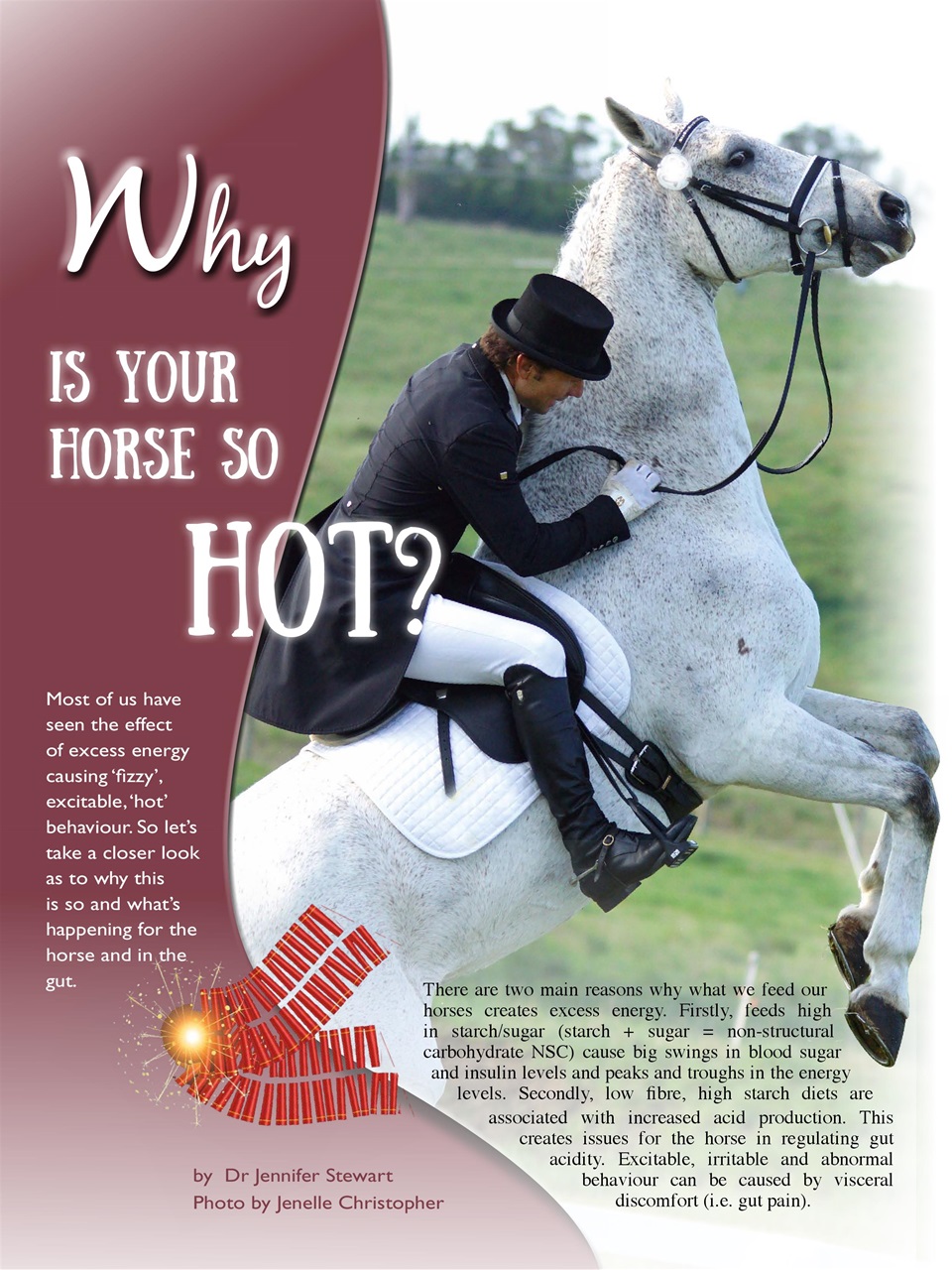 Hoofbeats Preview Pages