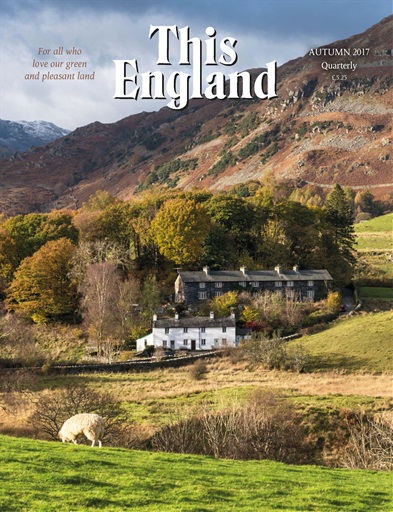 This England issue 