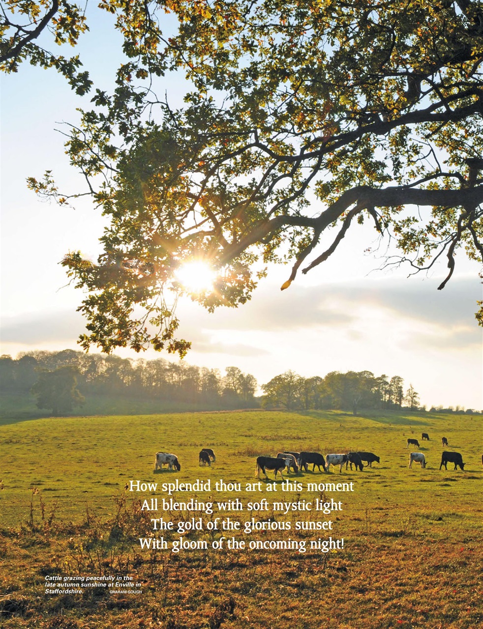 This England Preview Pages